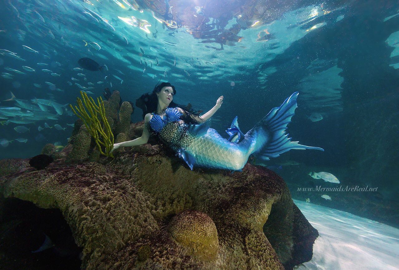 Blue Mermaid Designs - Real Mermaids